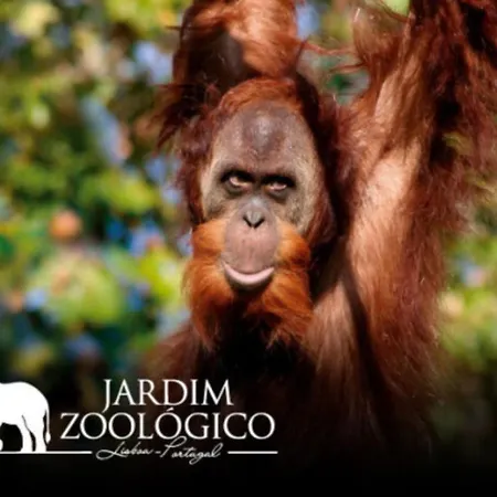 Simpatico No Centro Apartman Lisboa