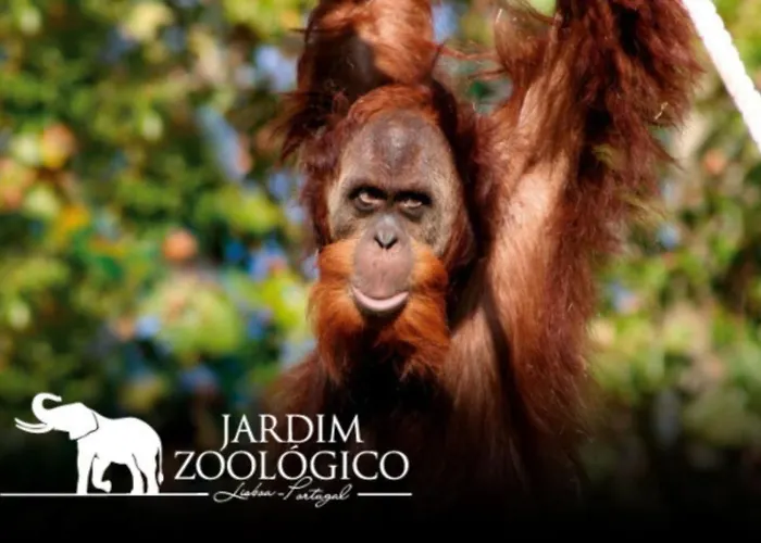 Simpático No Centro Apartamento Lisboa